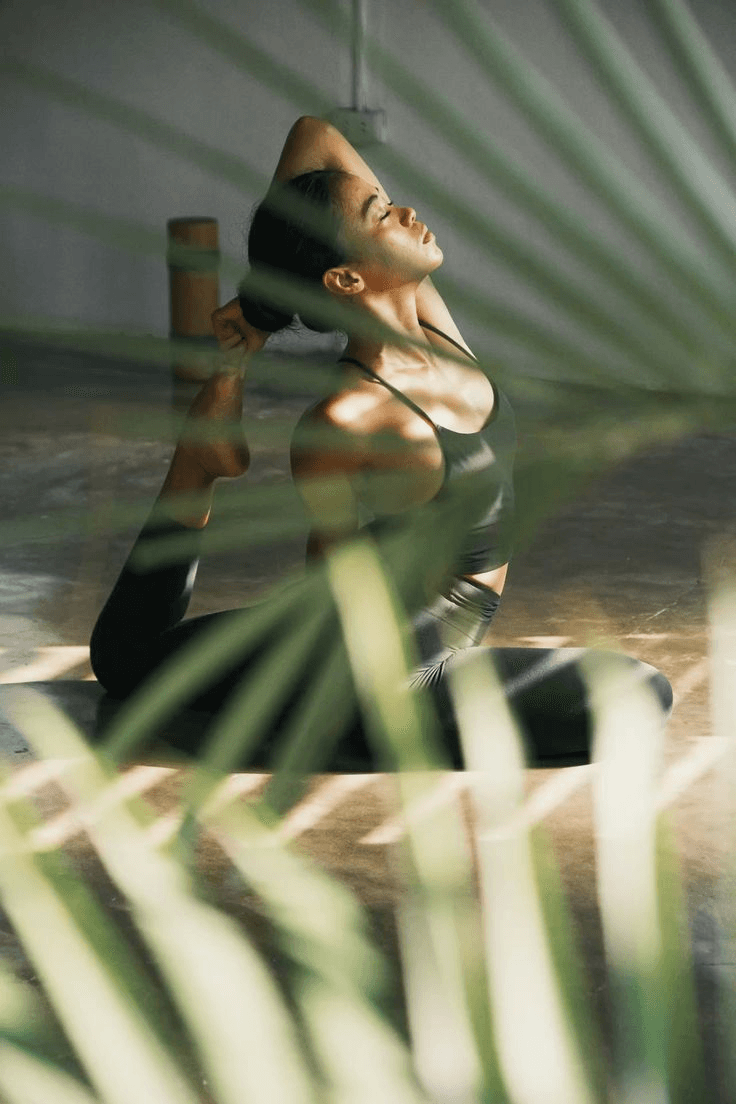 Somewhr wellness visual