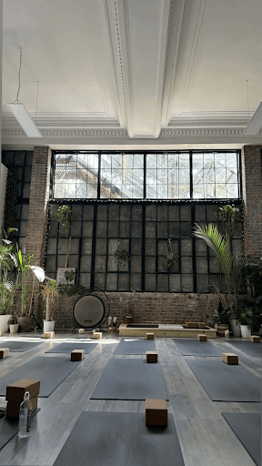 Multifunctional Studios